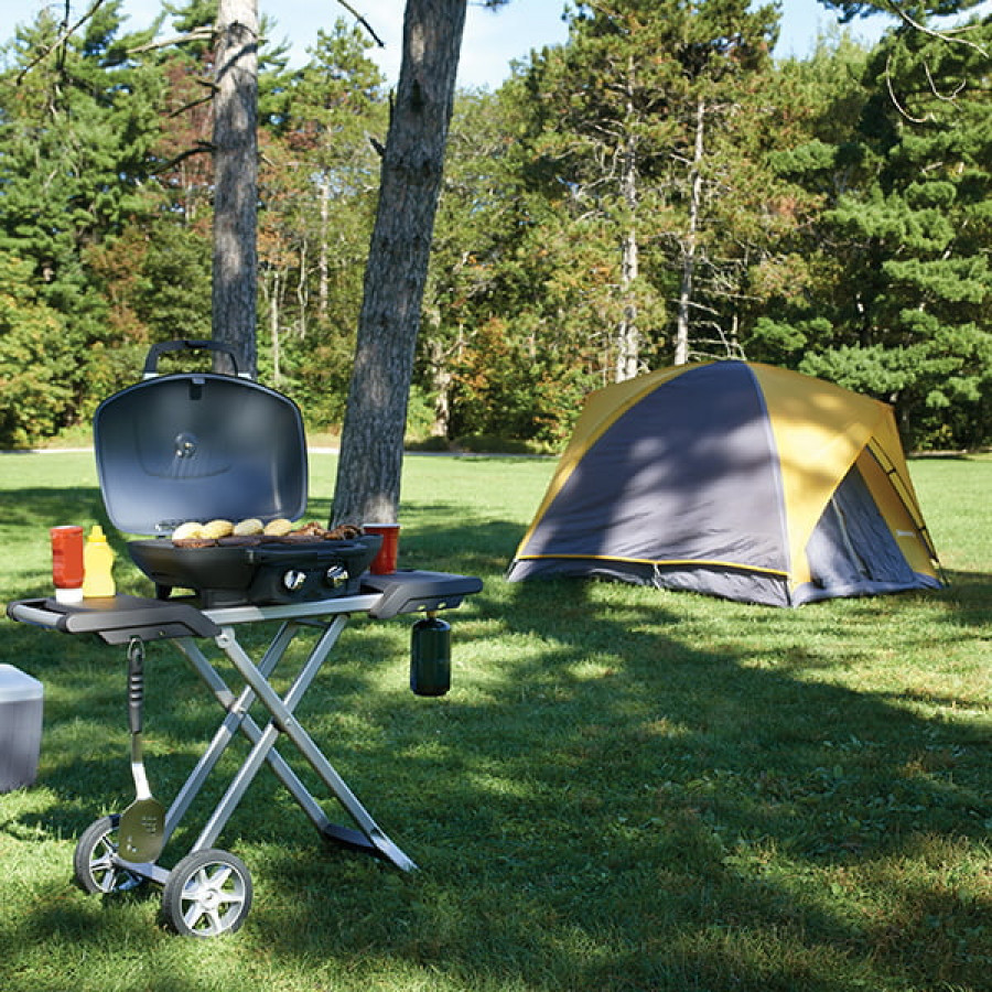 BBQ Napoleon portatif TravelQ 285X - 12 000 BTU