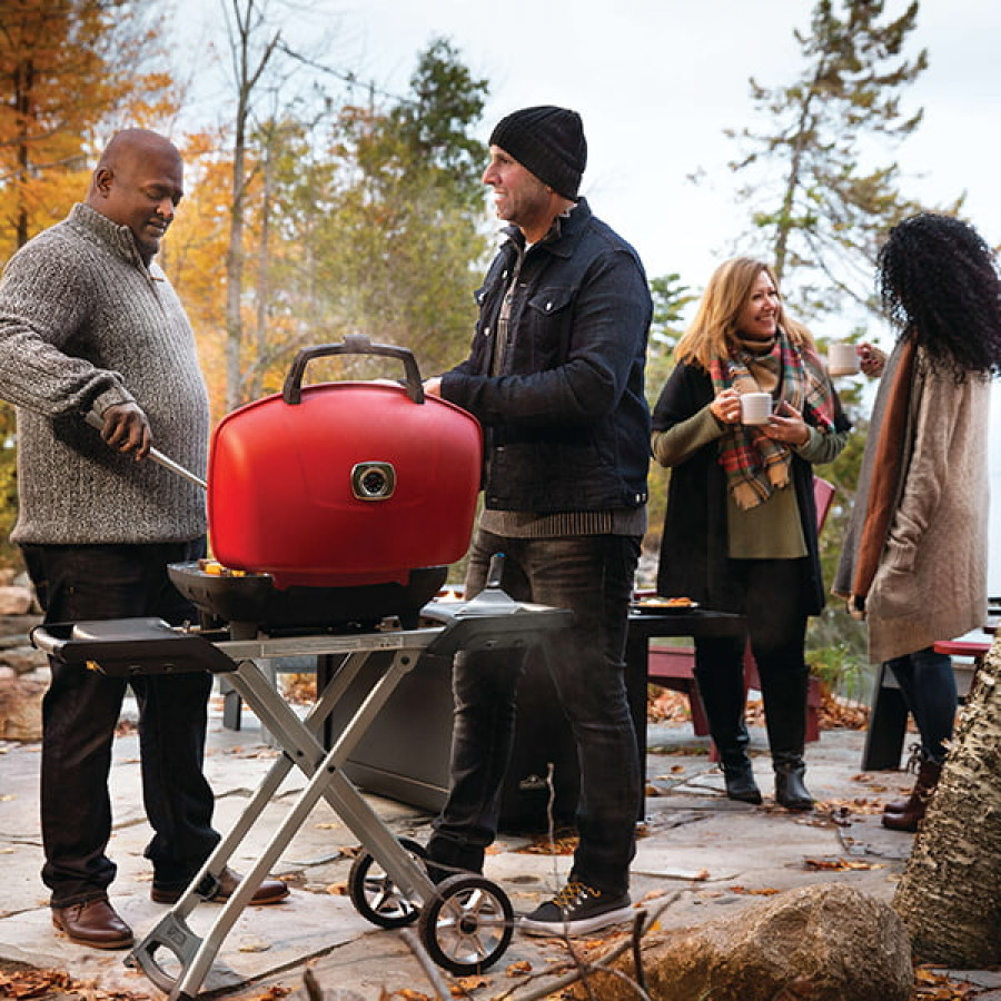 BBQ Napoleon portatif TravelQ 285X - 12 000 BTU