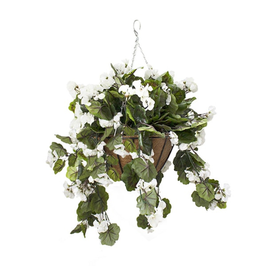 Hanging flowers - White Geranium