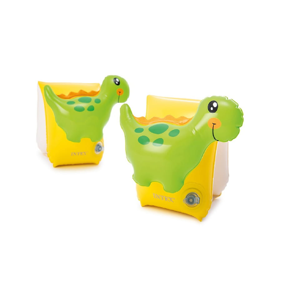 Dinosaur swim armbands