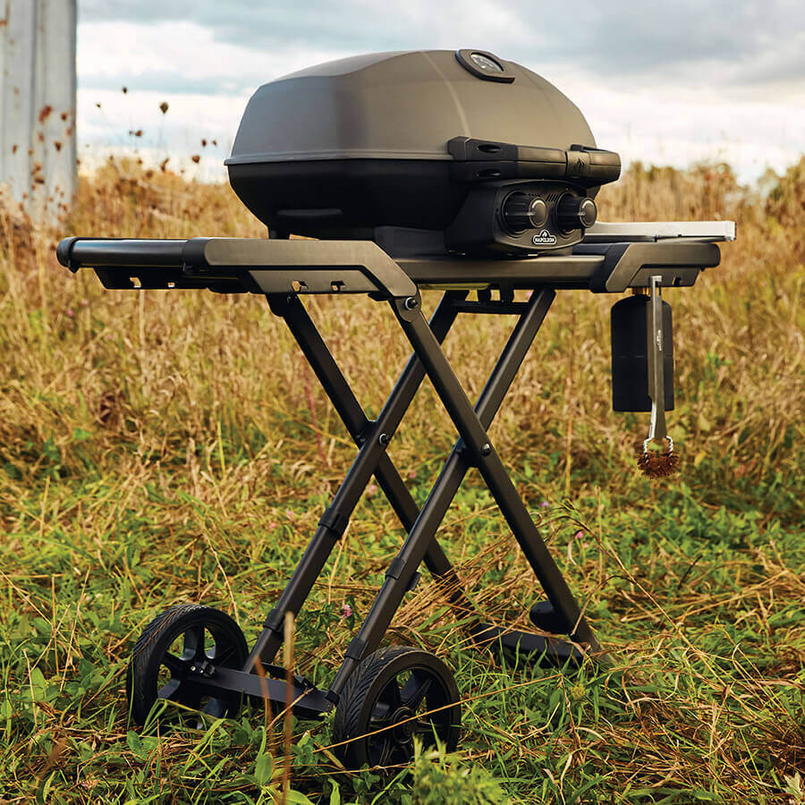 Napoleon Phantom TravelQ Pro285X BBQ - 12 000 BTU