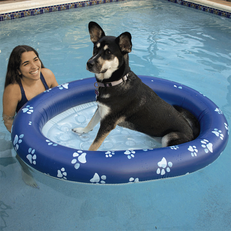 Flotteur de piscine pour animaux de compagnie (animaux jusqu'à 35 livres)