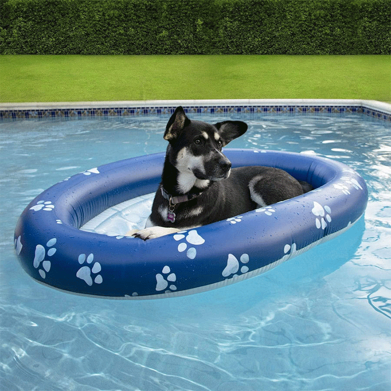 Pet Ride-On Pool Float (Up to 35 Pound Pets)