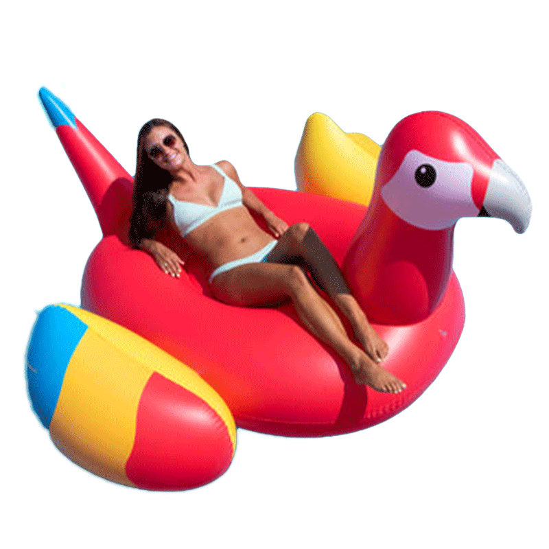 Giant Parrot Pool Float