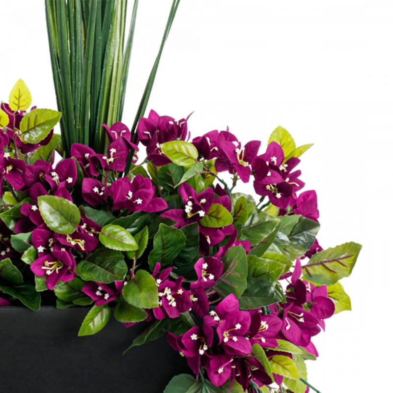 Jardinière en pot - Arrangement floral Bougainvillier mauve