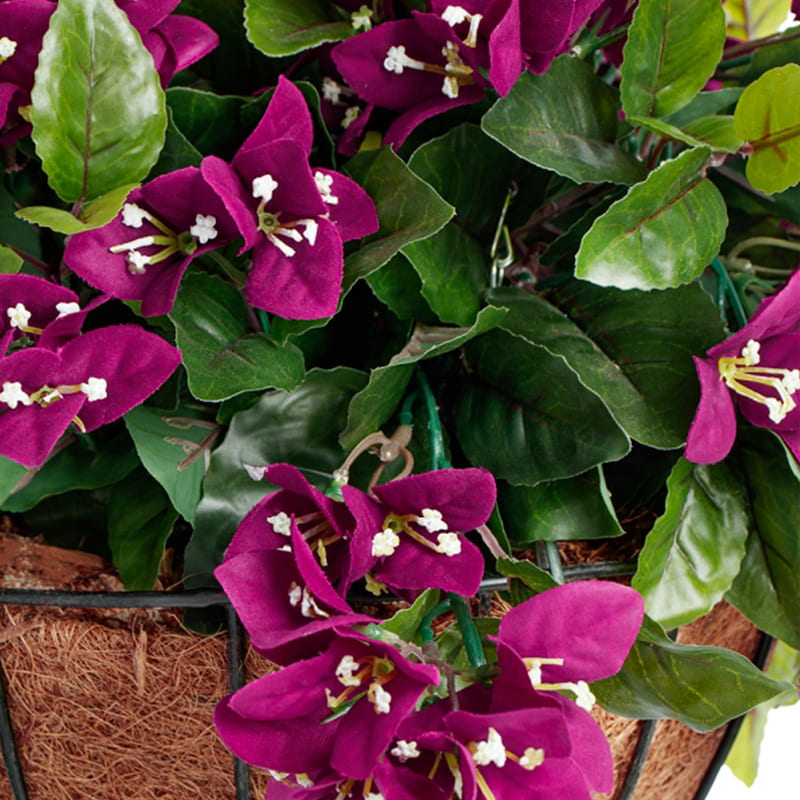 Jardinière suspendue fleurie - Bougainvillier mauve