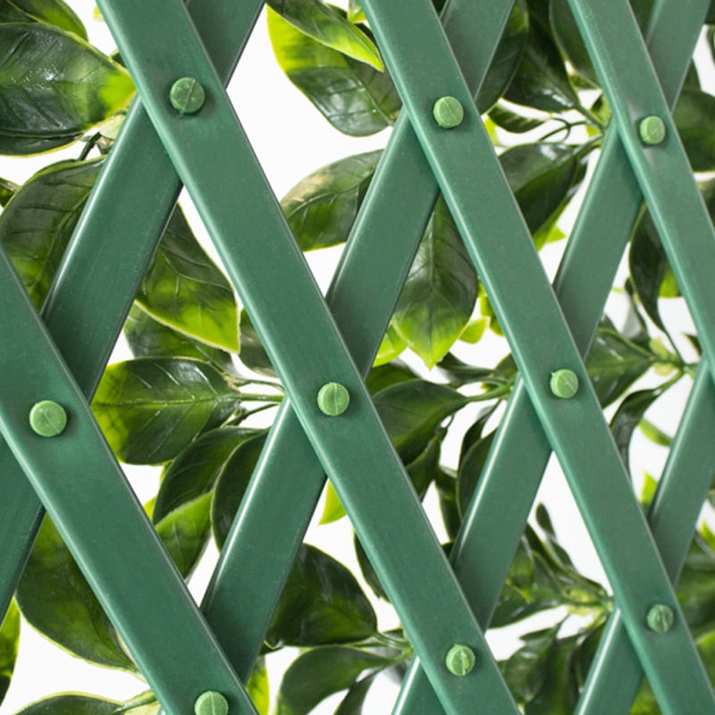 Treillis extensible de feuillage 39
