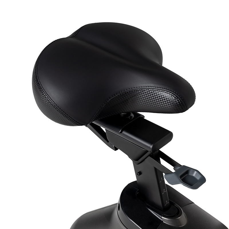 Schwinn 190 Upright bike