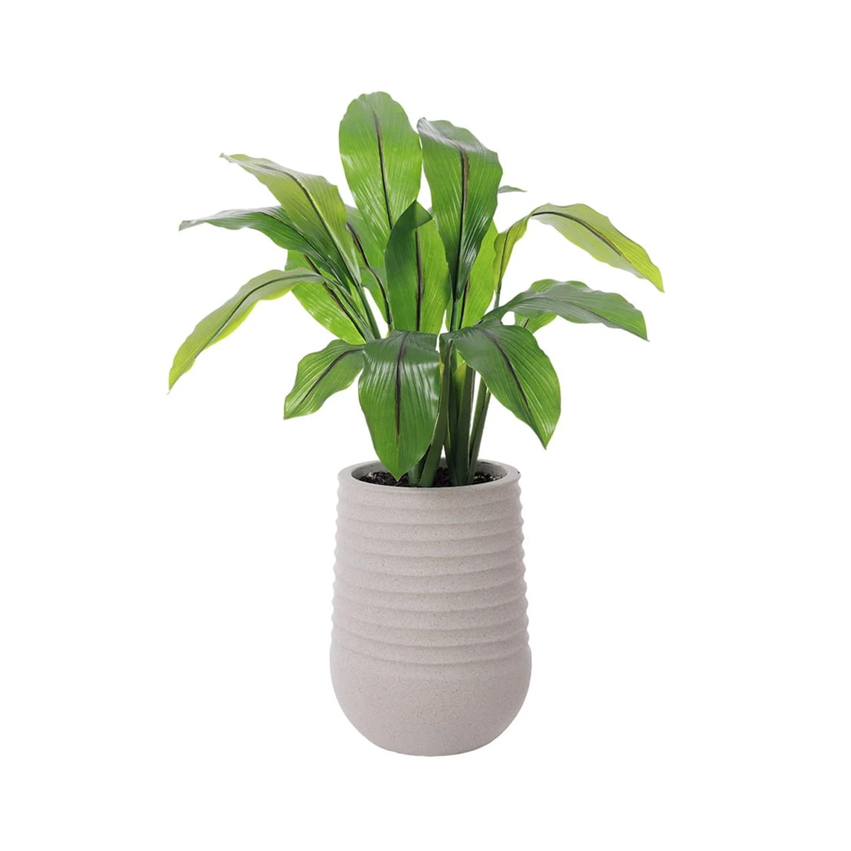 Outdoor artificial curcuma in beige pot