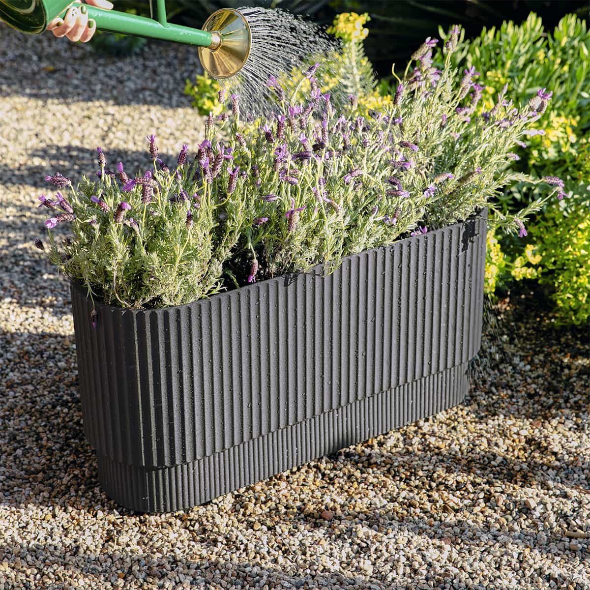 Jardinière Demi long