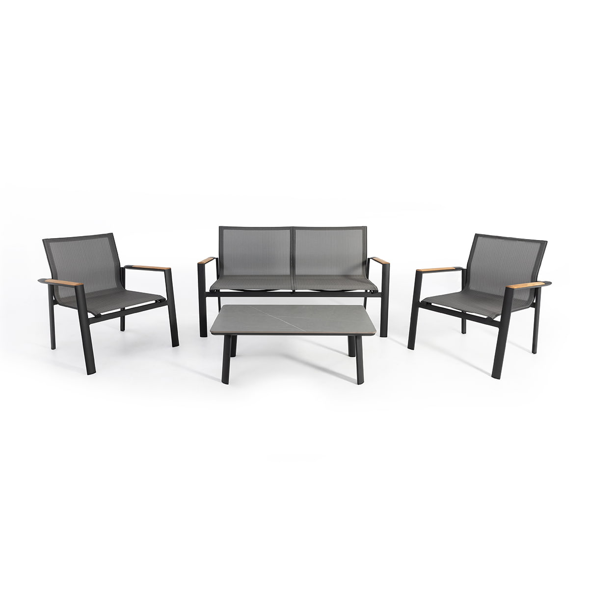 Birman Conversation Set