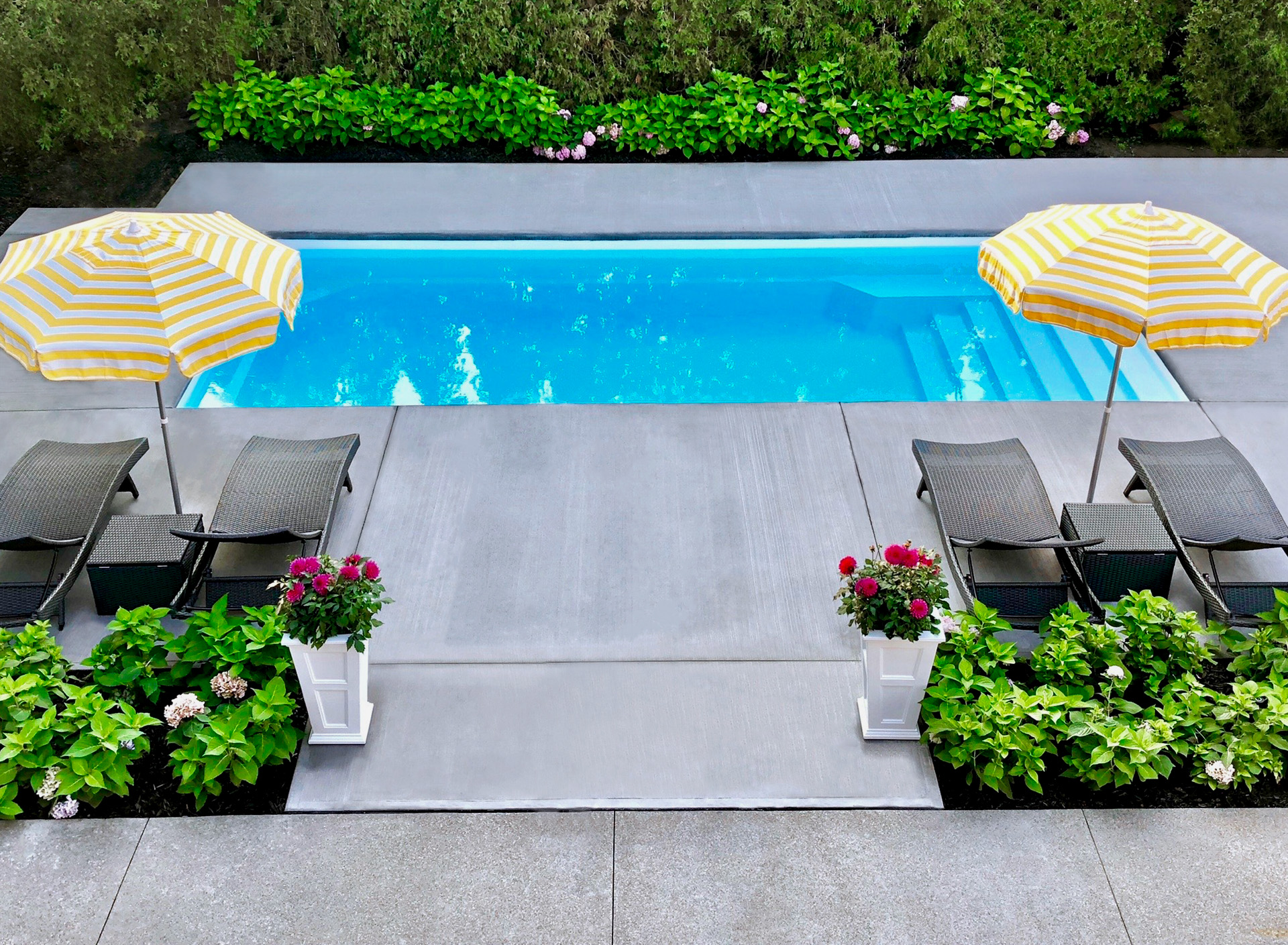 Sandbanks Dolphin Pool