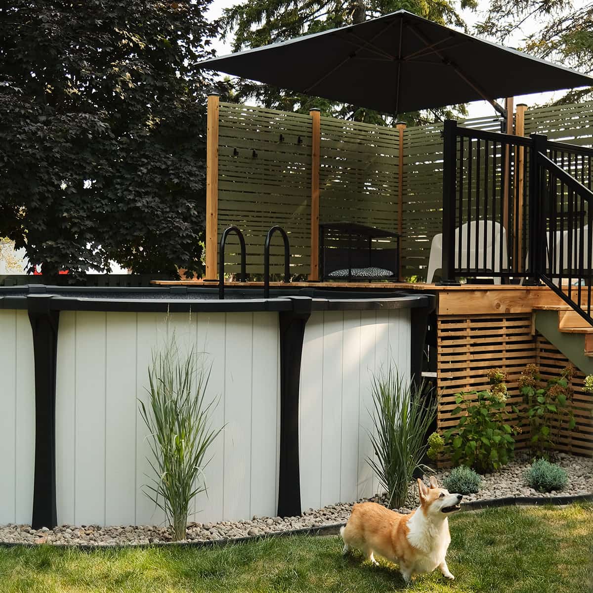 Above ground pool ladder - Black