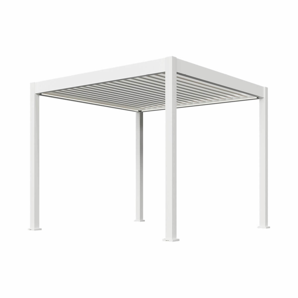 Pergola Ombrella Intro Plus motorisée 10 x 10 - Blanc