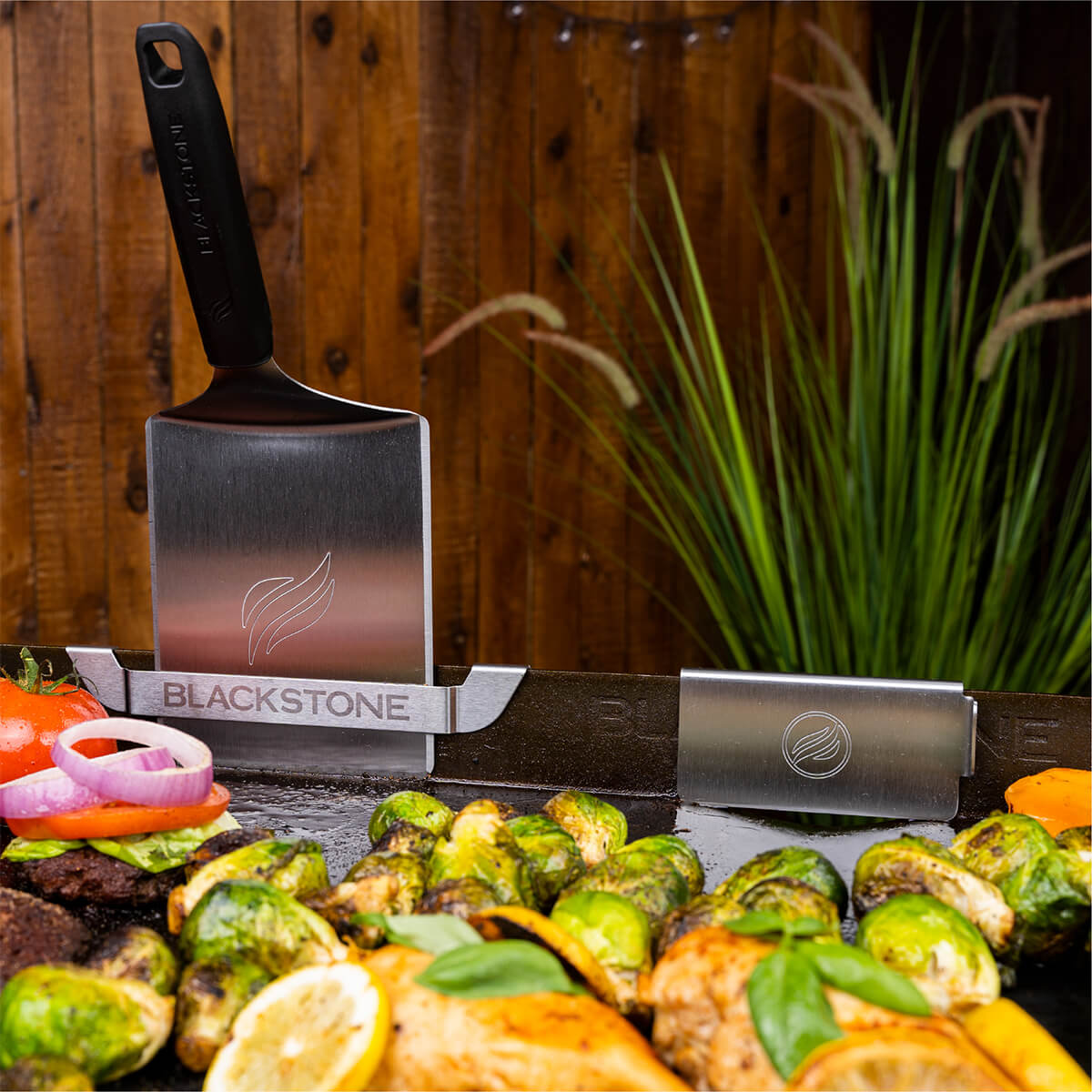 Porte-outils et trappe à graisse arrière