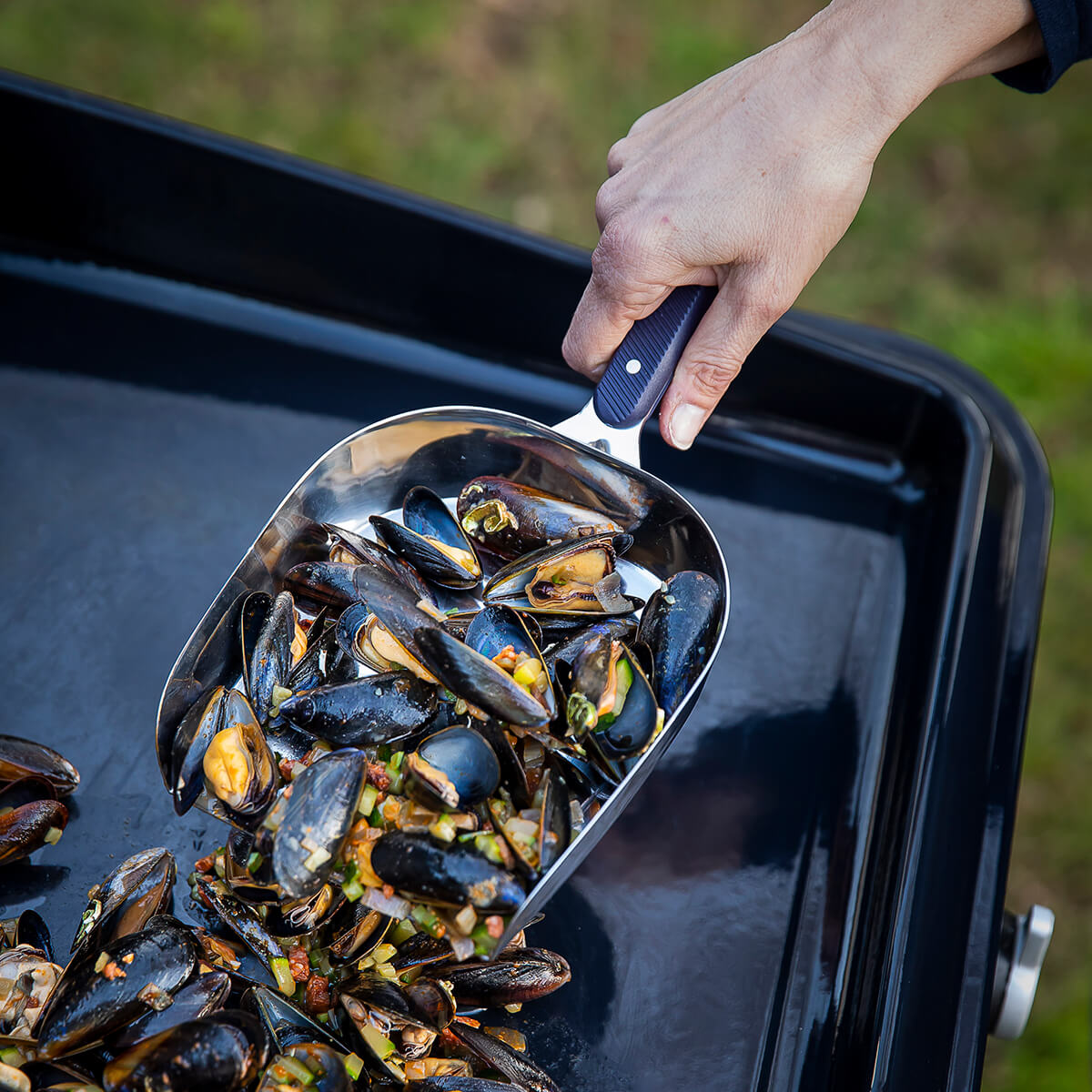 Stainless Steel Mussel Scoop 1 L – Plancha Accessory