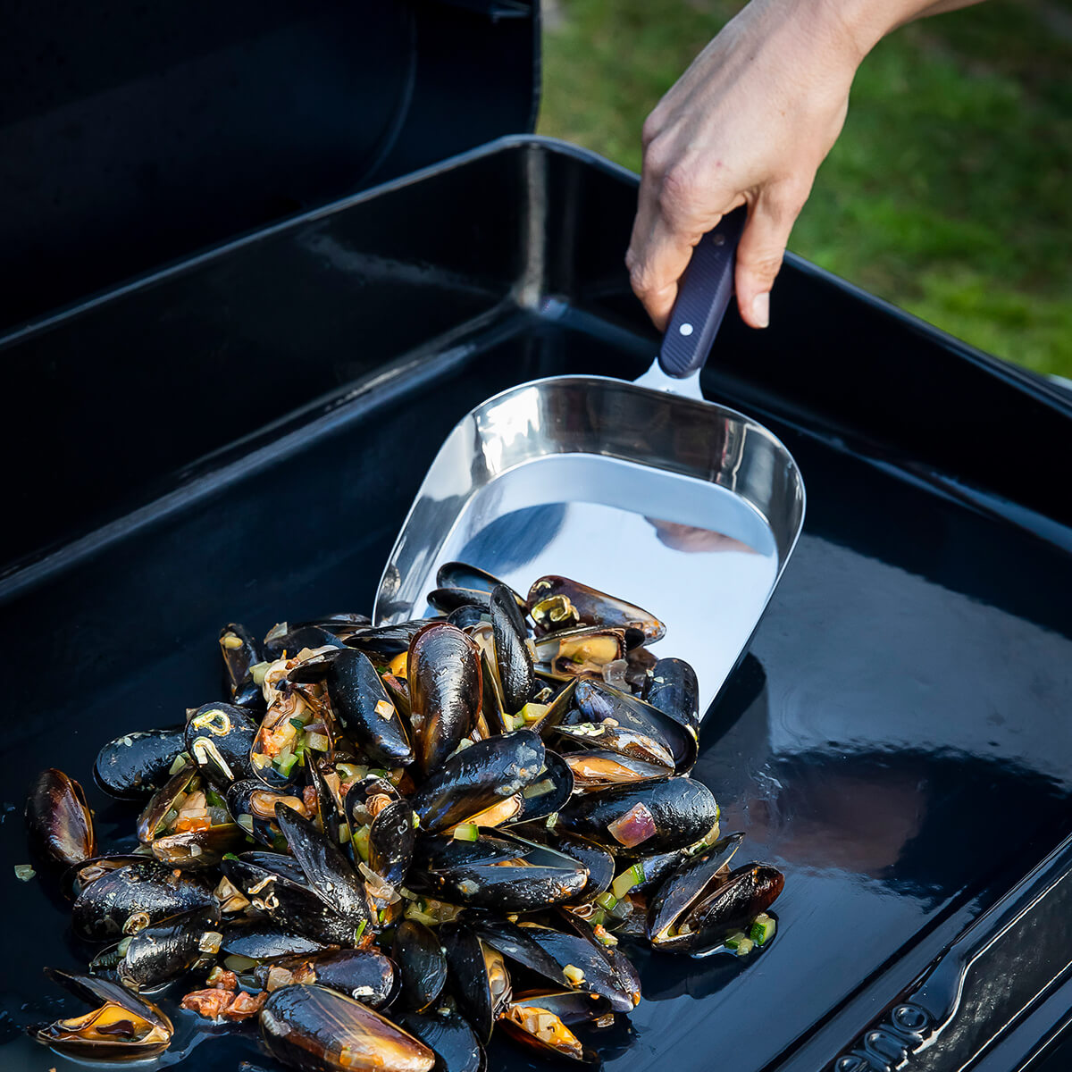 Stainless Steel Mussel Scoop 1 L – Plancha Accessory