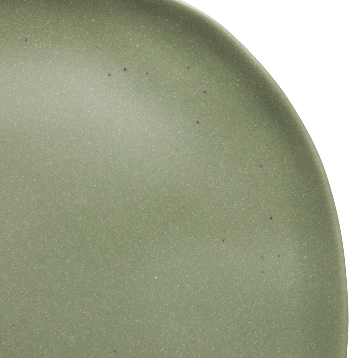 Fresco Moss Dinner Plate 11