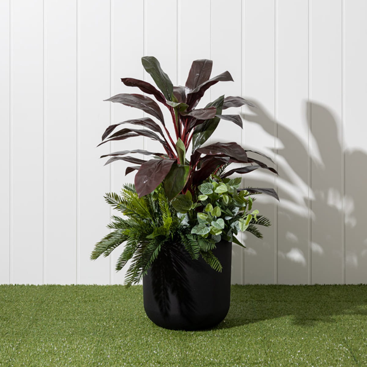 Jardinière cordyline bourgogne et verdure