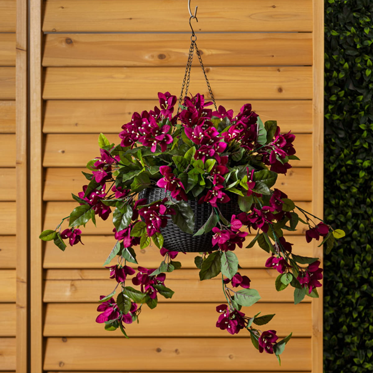 Jardinière suspendue de bougainvilliers mauves