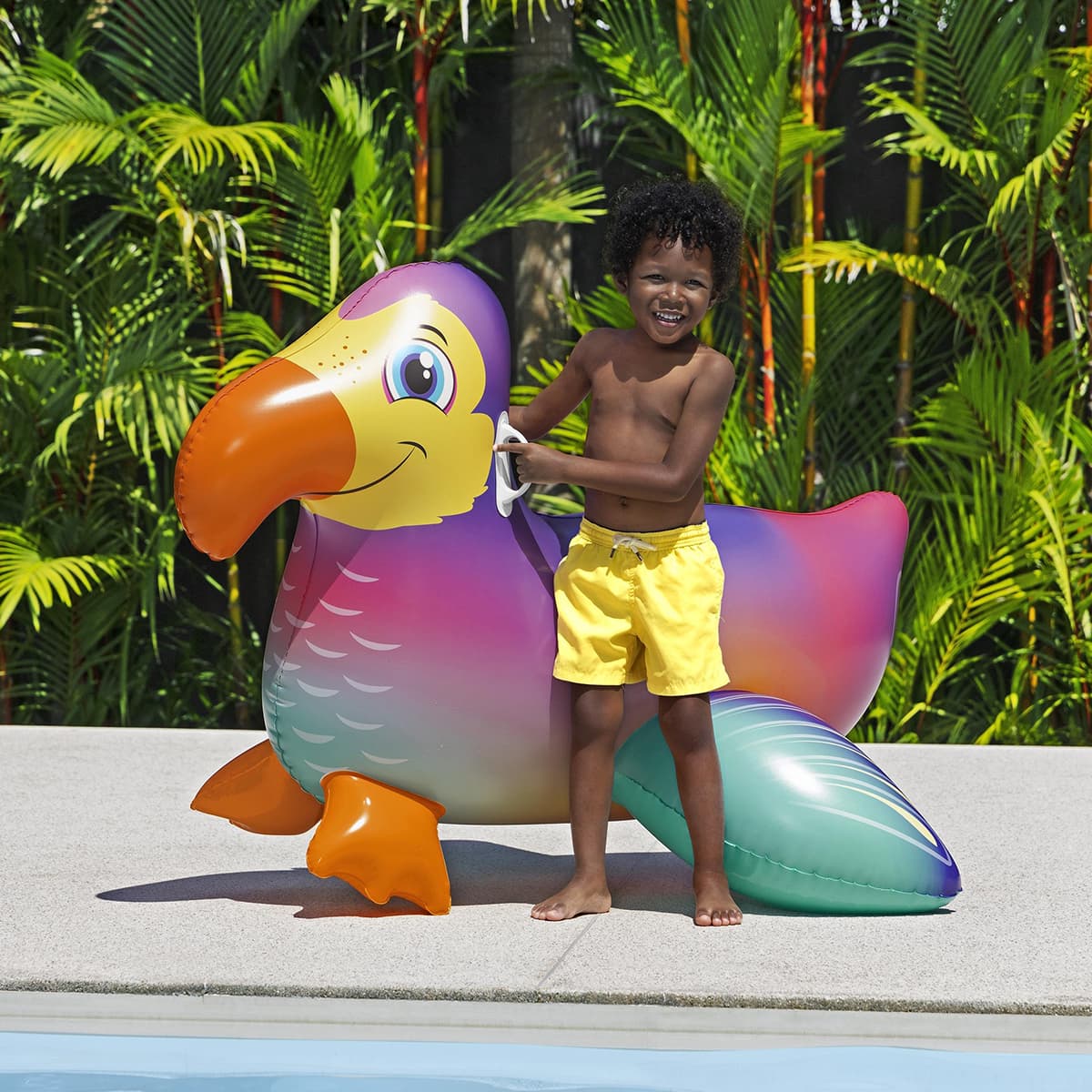 Gonflable à chevaucher - Perroquet