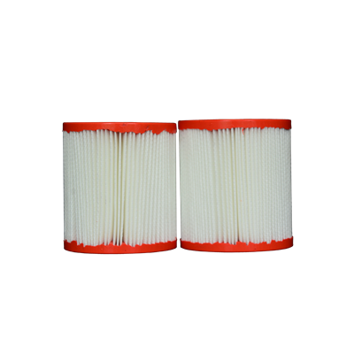 Pleatco pour Bestway - PBW3PAIR - Caisse de 2