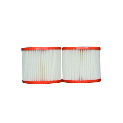 Pleatco pour Aqua Leisure - PBW4PAIR - Filtre simple
