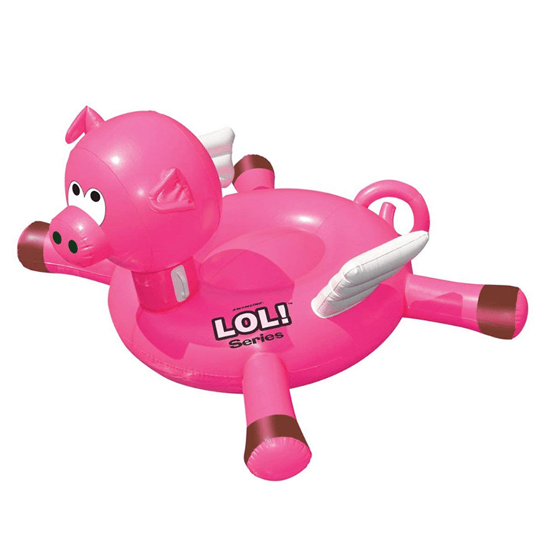 Flying Pig Float