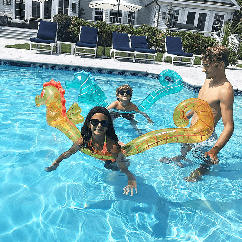 Discontinued Seahorse Pool Doodle Set (Pack of 2)