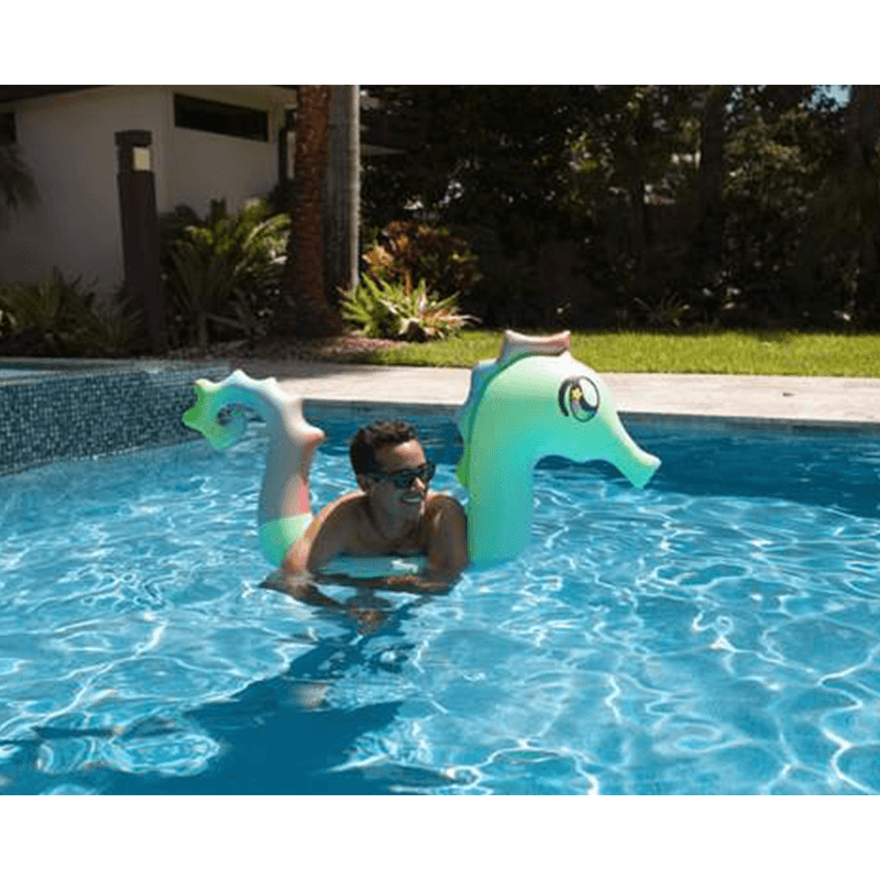 Nouille de piscine hippocampe à roulettes de Pool Candy