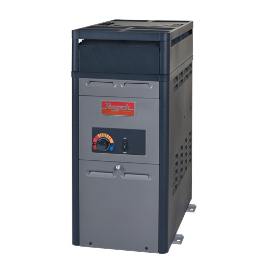 Chauffe-eau au propane de 105 000 BTU de RayPak
