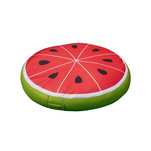 Pool Bean Bag - Watermelon float