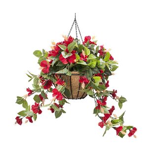 Hanging flowers - Red Hibiscus