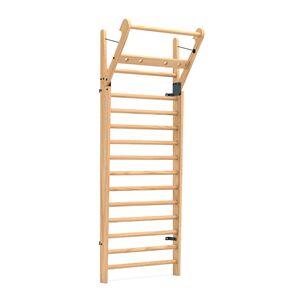 WaterRower Training Wall Bars