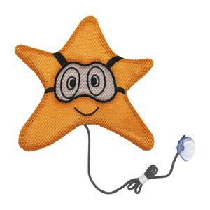 Éponge absorbante - Étoile de mer