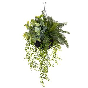 Jardinière suspendue fittonia et verdure mixte
