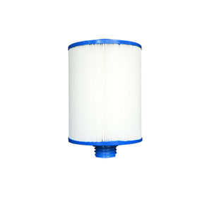Pleatco pour Waterway - PWW50P3 - Boite de 2