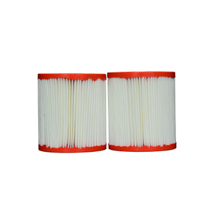 Pleatco pour Bestway - PBW3PAIR - Caisse de 2