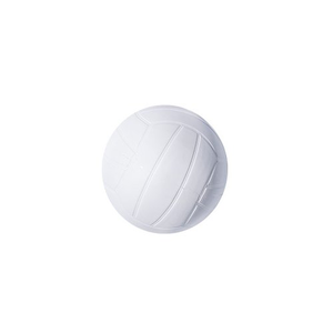 Volleyball de remplacement 9190VBALL pour piscine creusée Jam Combo