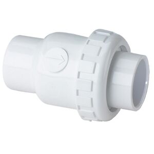 Praher 2 Inch PVC Single Union Check Valve