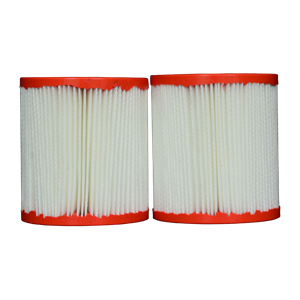 Pleatco pour Intex Recreation - PIN3PAIR - Ensemble de 2 filtres
