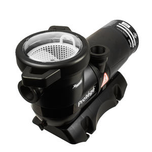 Pompe pour piscine hors terre RayPak de 1 CV